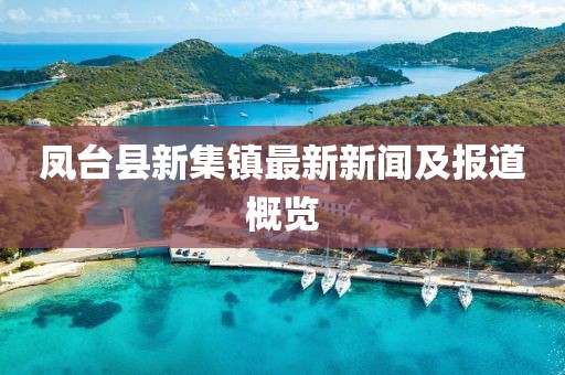 鳳臺(tái)縣新集鎮(zhèn)最新新聞及報(bào)道概覽