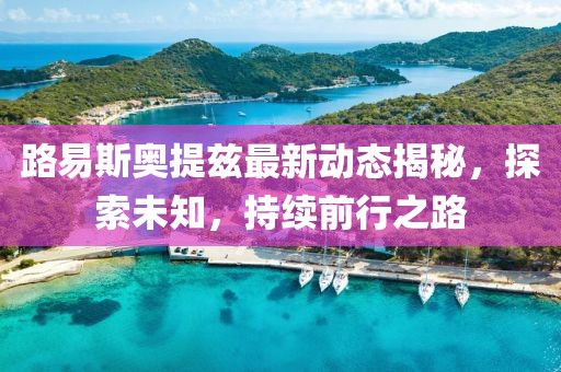 路易斯奧提茲最新動態(tài)揭秘，探索未知，持續(xù)前行之路