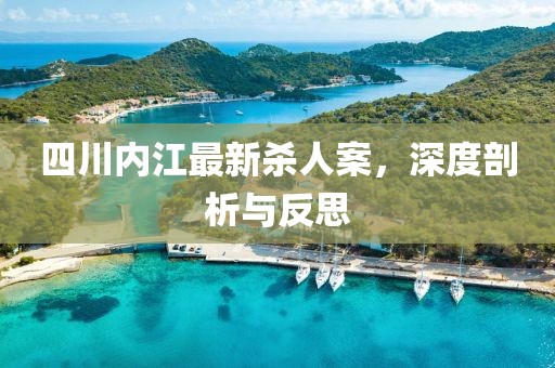 四川內(nèi)江最新殺人案，深度剖析與反思