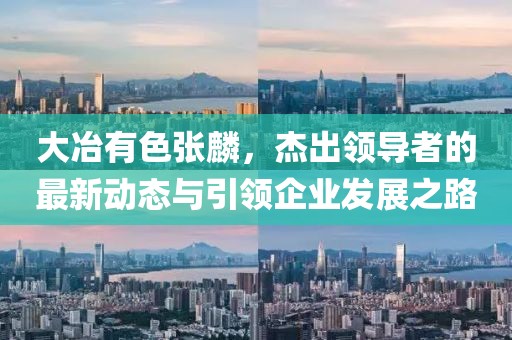 大冶有色張麟，杰出領(lǐng)導(dǎo)者的最新動(dòng)態(tài)與引領(lǐng)企業(yè)發(fā)展之路