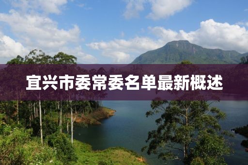 宜興市委常委名單最新概述