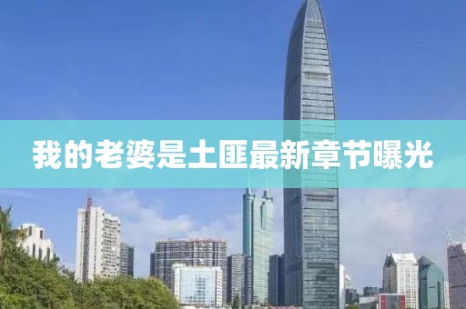 我的老婆是土匪最新章節(jié)曝光