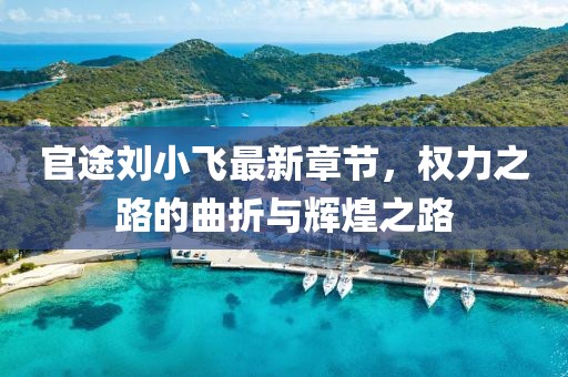 官途劉小飛最新章節(jié)，權(quán)力之路的曲折與輝煌之路