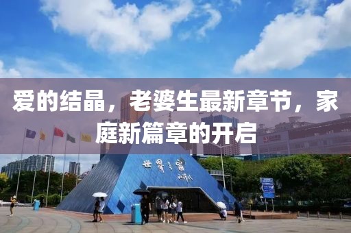 愛的結(jié)晶，老婆生最新章節(jié)，家庭新篇章的開啟