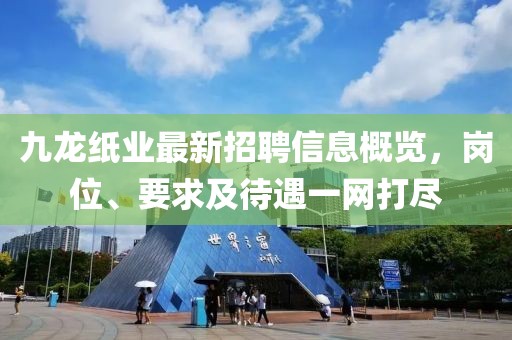 九龍紙業(yè)最新招聘信息概覽，崗位、要求及待遇一網(wǎng)打盡