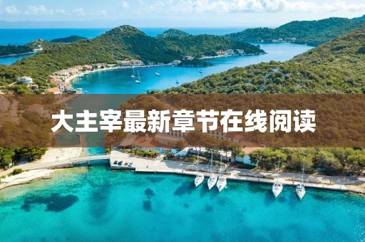 大主宰最新章節(jié)在線閱讀