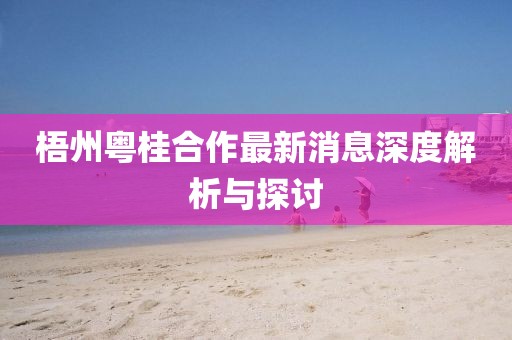 梧州粵桂合作最新消息深度解析與探討