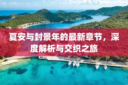 夏安與封景年的最新章節(jié)，深度解析與交織之旅