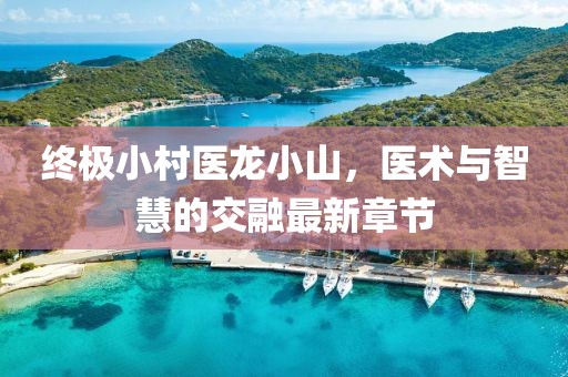 終極小村醫(yī)龍小山，醫(yī)術(shù)與智慧的交融最新章節(jié)