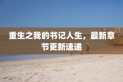 重生之我的書記人生，最新章節(jié)更新速遞