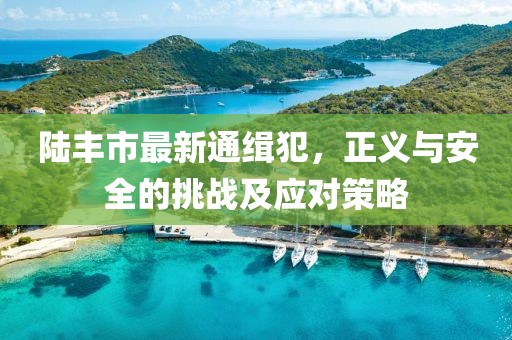 陸豐市最新通緝犯，正義與安全的挑戰(zhàn)及應(yīng)對(duì)策略