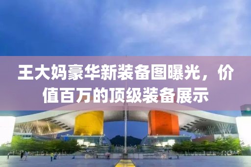 王大媽豪華新裝備圖曝光，價值百萬的頂級裝備展示