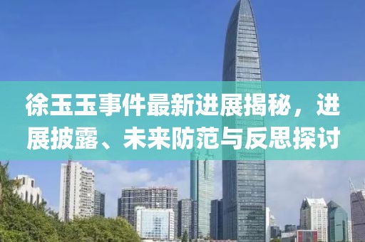 徐玉玉事件最新進(jìn)展揭秘，進(jìn)展披露、未來(lái)防范與反思探討
