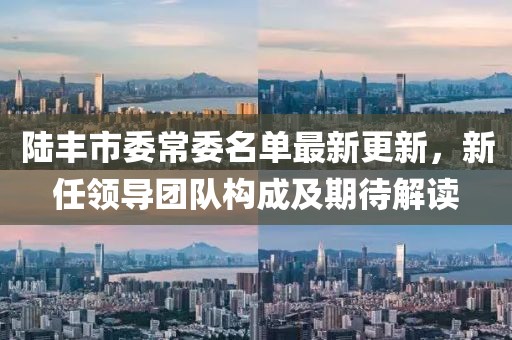 陸豐市委常委名單最新更新，新任領(lǐng)導(dǎo)團隊構(gòu)成及期待解讀