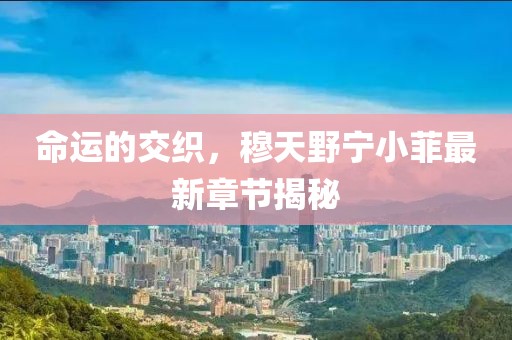 命運(yùn)的交織，穆天野寧小菲最新章節(jié)揭秘