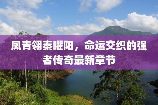 鳳青翎秦曜陽(yáng)，命運(yùn)交織的強(qiáng)者傳奇最新章節(jié)
