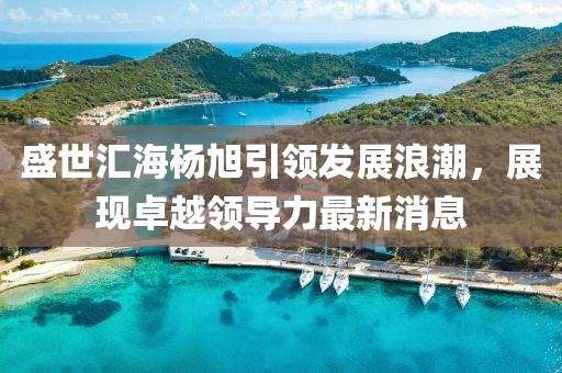 盛世匯海楊旭引領(lǐng)發(fā)展浪潮，展現(xiàn)卓越領(lǐng)導(dǎo)力最新消息