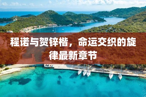 程諾與賀鋅楷，命運交織的旋律最新章節(jié)
