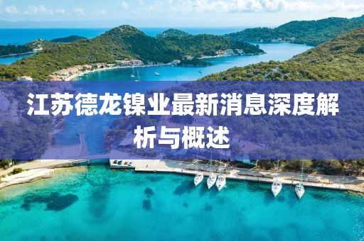 江蘇德龍鎳業(yè)最新消息深度解析與概述