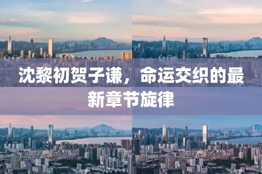 沈黎初賀子謙，命運(yùn)交織的最新章節(jié)旋律