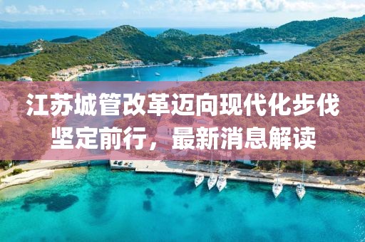 江蘇城管改革邁向現(xiàn)代化步伐堅定前行，最新消息解讀
