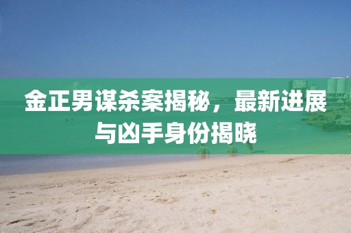 金正男謀殺案揭秘，最新進(jìn)展與兇手身份揭曉