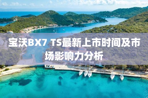 寶沃BX7 TS最新上市時(shí)間及市場(chǎng)影響力分析