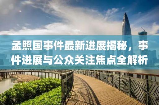 孟照國事件最新進(jìn)展揭秘，事件進(jìn)展與公眾關(guān)注焦點(diǎn)全解析