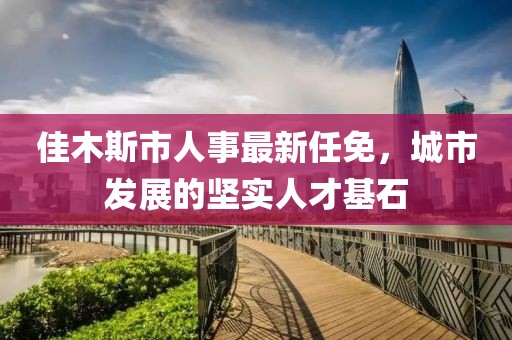 佳木斯市人事最新任免，城市發(fā)展的堅實人才基石