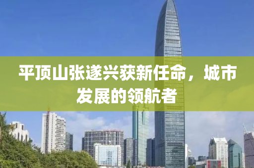 平頂山張遂興獲新任命，城市發(fā)展的領(lǐng)航者