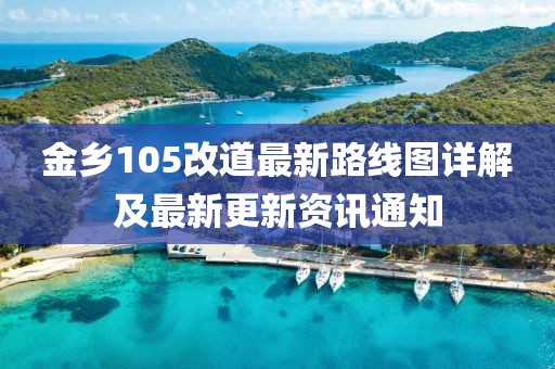 金鄉(xiāng)105改道最新路線圖詳解及最新更新資訊通知