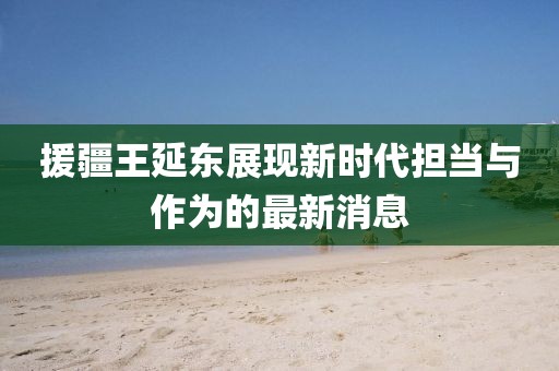援疆王延東展現新時(shí)代擔當與作為的最新消息