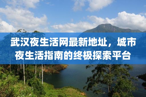 武漢夜生活網(wǎng)最新地址，城市夜生活指南的終極探索平臺