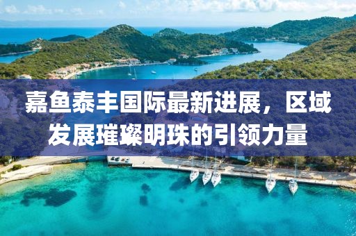 嘉魚泰豐國際最新進(jìn)展，區(qū)域發(fā)展璀璨明珠的引領(lǐng)力量