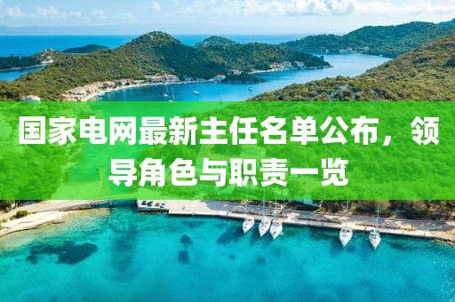 國家電網(wǎng)最新主任名單公布，領(lǐng)導(dǎo)角色與職責(zé)一覽