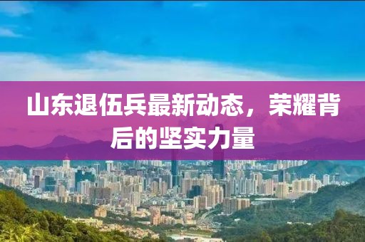 山東退伍兵最新動態(tài)，榮耀背后的堅實力量