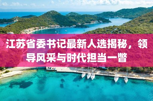 江蘇省委書記最新人選揭秘，領(lǐng)導(dǎo)風(fēng)采與時(shí)代擔(dān)當(dāng)一瞥