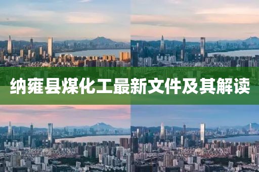 納雍縣煤化工最新文件及其解讀