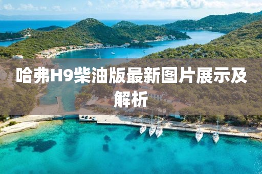 哈弗H9柴油版最新圖片展示及解析