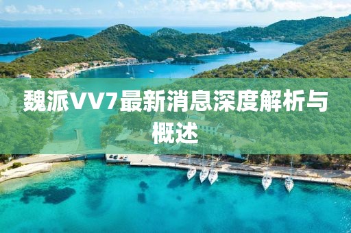魏派VV7最新消息深度解析與概述