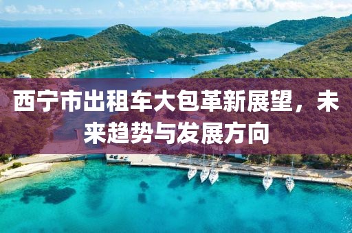 西寧市出租車大包革新展望，未來(lái)趨勢(shì)與發(fā)展方向
