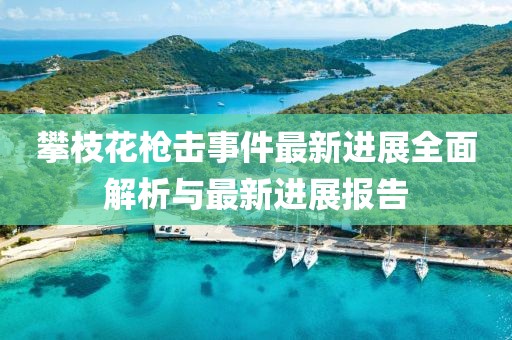 攀枝花槍擊事件最新進(jìn)展全面解析與最新進(jìn)展報(bào)告