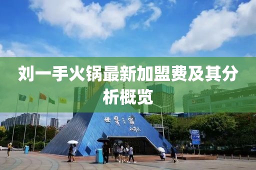 劉一手火鍋?zhàn)钚录用速M(fèi)及其分析概覽