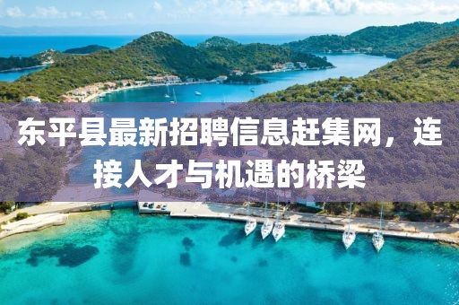 東平縣最新招聘信息趕集網(wǎng)，連接人才與機(jī)遇的橋梁