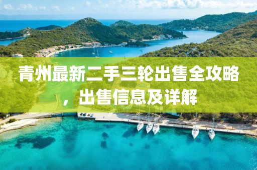 青州最新二手三輪出售全攻略，出售信息及詳解