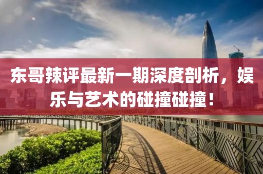 東哥辣評最新一期深度剖析，娛樂(lè )與藝術(shù)的碰撞碰撞！