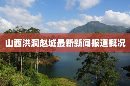 山西洪洞趙城最新新聞報道概況
