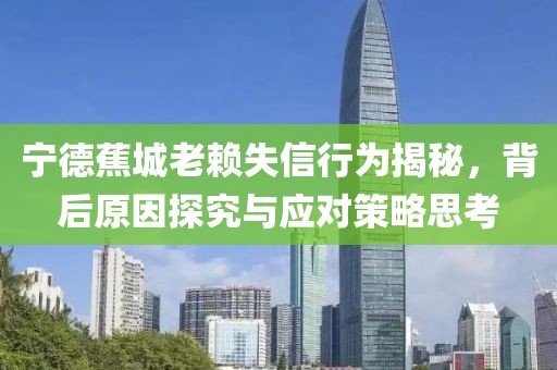 寧德蕉城老賴失信行為揭秘，背后原因探究與應(yīng)對策略思考