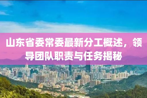 山東省委常委最新分工概述，領導團隊職責與任務揭秘