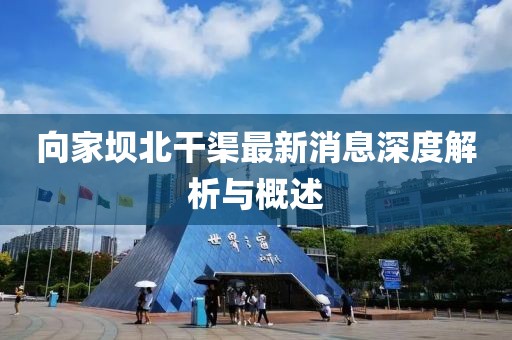 向家壩北干渠最新消息深度解析與概述